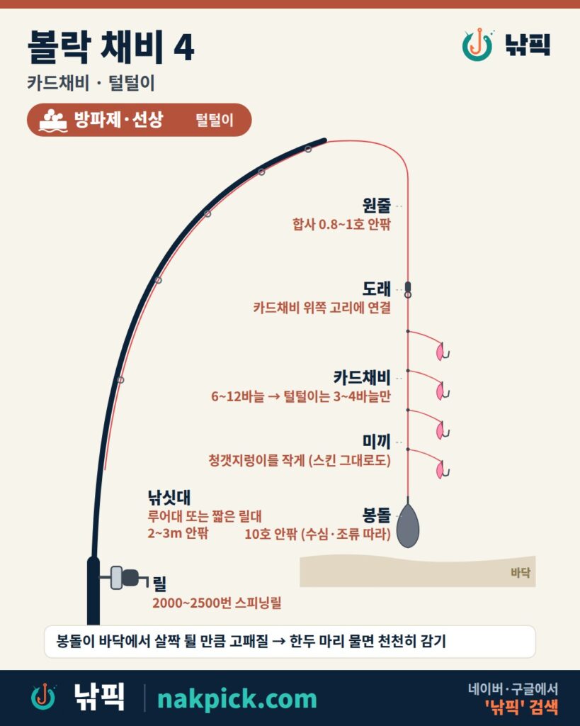 볼락 채비 4번 카드채비 털털이 구성도: 루어대 또는 짧은 릴대 2~3m 안팎, 2000~2500번 스피닝릴, 합사 0.8~1호 안팎, 도래, 카드채비 6~12바늘 중 3~4바늘만 잘라 쓰는 털털이, 청갯지렁이 작게, 봉돌 10호 안팎