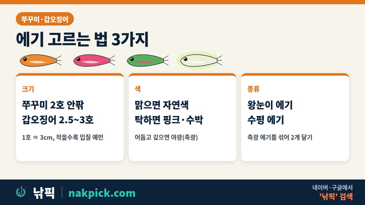 쭈꾸미·갑오징어 에기 고르는 법 3가지: 크기, 색, 종류