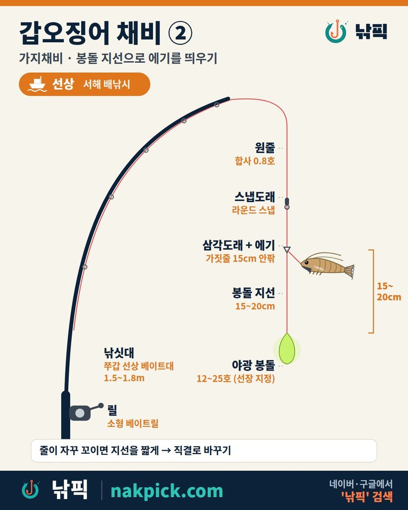 갑오징어 채비 ② 가지채비 구성도: 삼각도래 에기, 봉돌 지선 15~20cm