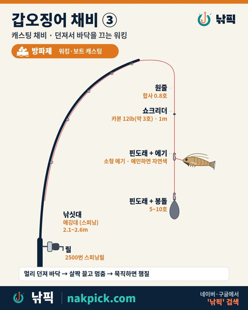 갑오징어 채비 ③ 캐스팅 구성도: 스피닝 장비, 카본 12lb 쇼크리더, 핀도래 에기와 봉돌