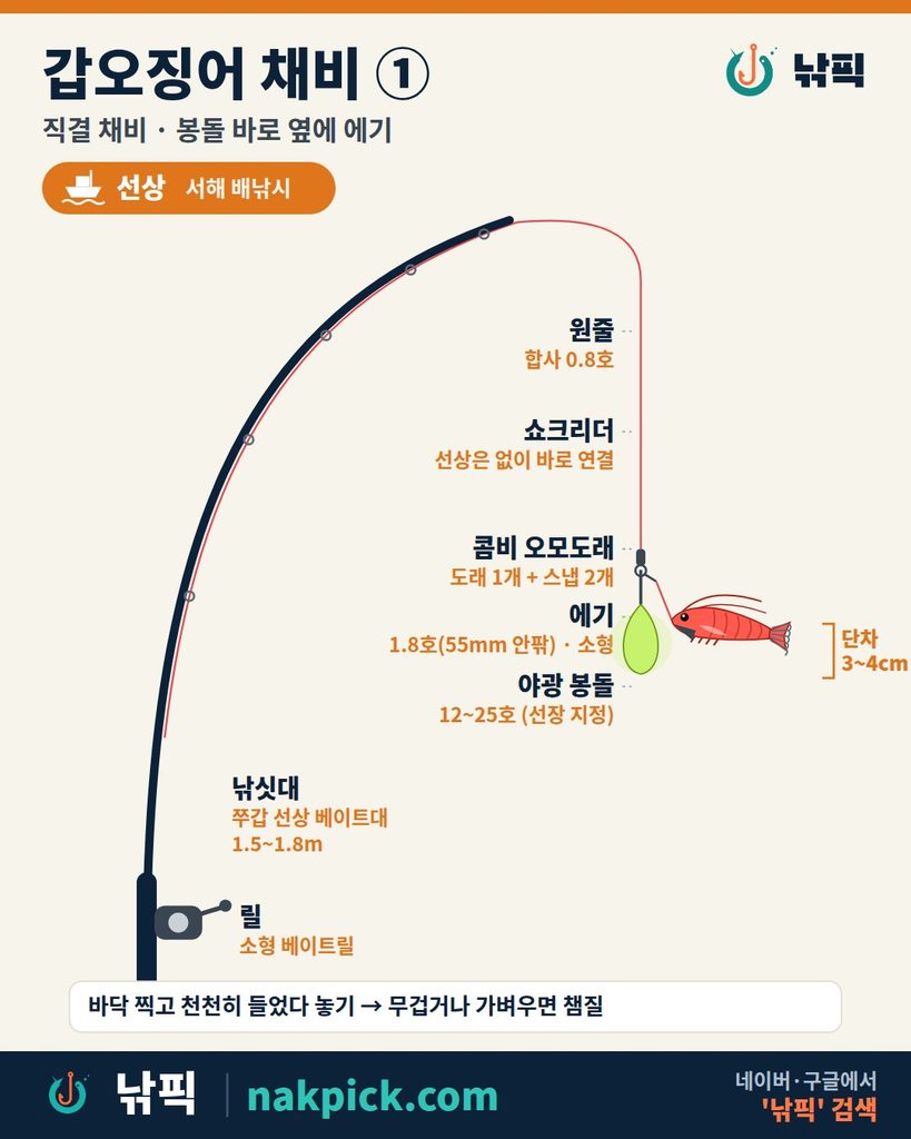 갑오징어 채비 ① 직결 구성도: 합사 0.8호, 콤비 오모도래, 1.8호 에기, 야광 봉돌, 간격 3~4cm
