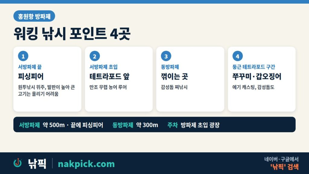 홍원항 방파제 워킹 낚시 포인트 4곳: 서방파제 끝 피싱피어, 서방파제 초입 테트라포드 앞, 동방파제 꺾이는 곳, 둥근 테트라포드 구간 쭈꾸미·갑오징어