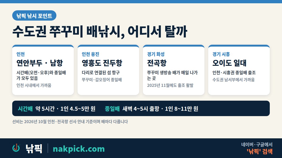 인천 쭈꾸미 낚시 출항지 4곳 비교: 연안부두·남항, 영흥도 진두항, 전곡항, 오이도와 시간배·종일배 선비