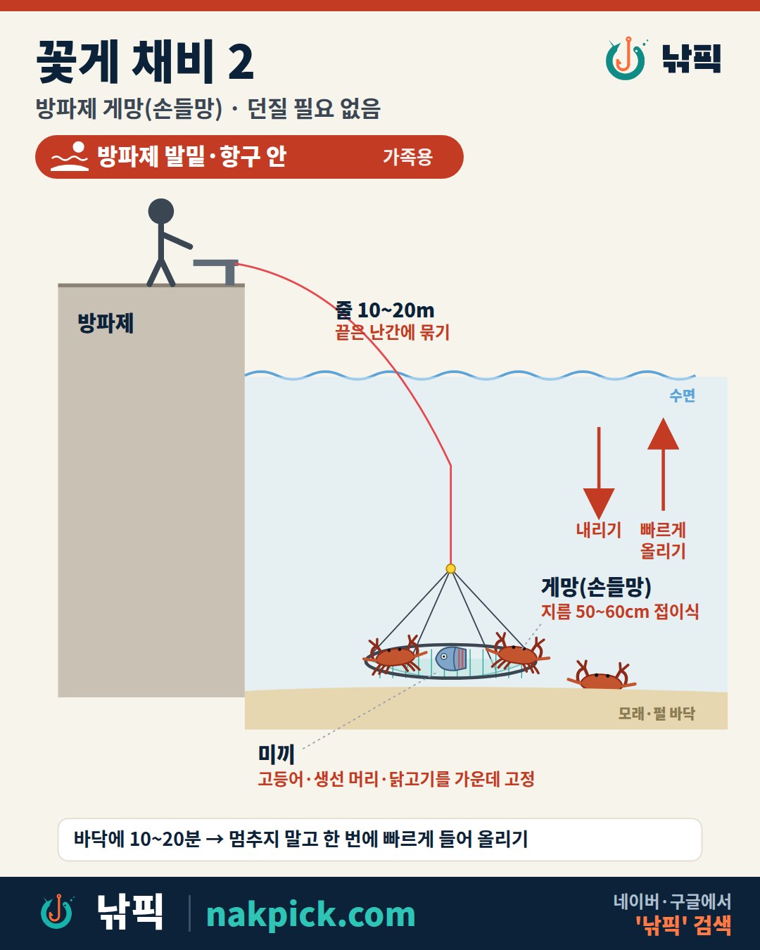 꽃게 채비 2 방파제 게망(손들망) 그림: 둥근 그물망 지름 50~60cm, 가운데 미끼 고정, 줄 10~20m, 바닥에 10~20분 두었다가 천천히 들어 올리기