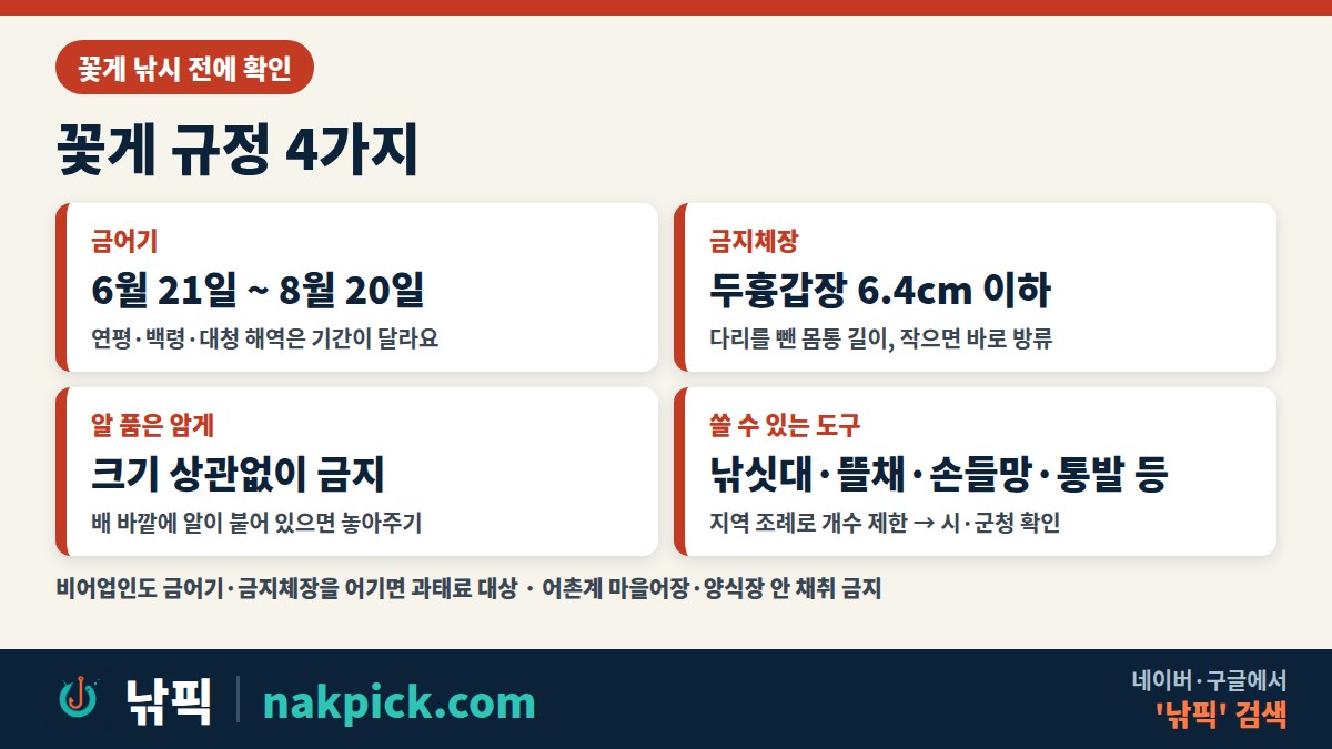 꽃게 낚시 규정 정리: 금어기 6월 21일~8월 20일, 금지체장 두흉갑장 6.4cm 이하, 알을 품은 암게 포획 금지, 비어업인 사용 가능 도구