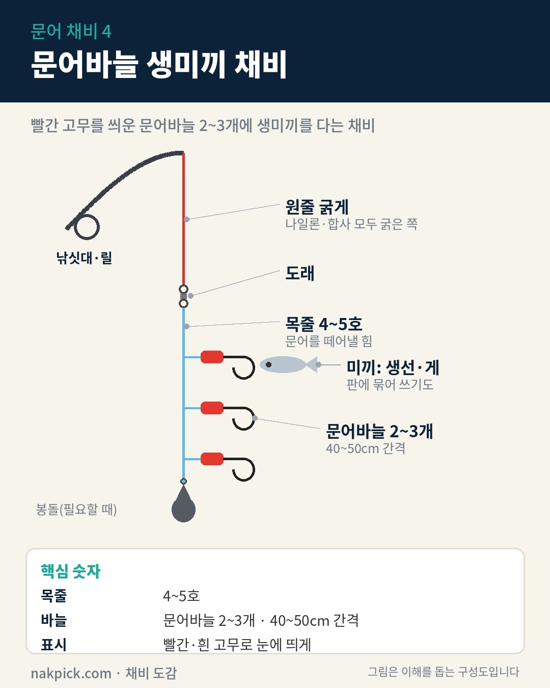 문어 채비 4 문어바늘 생미끼 채비 구성도: 굵은 원줄, 도래, 4~5호 목줄에 빨간 고무를 씌운 문어바늘 2~3개와 생선 미끼