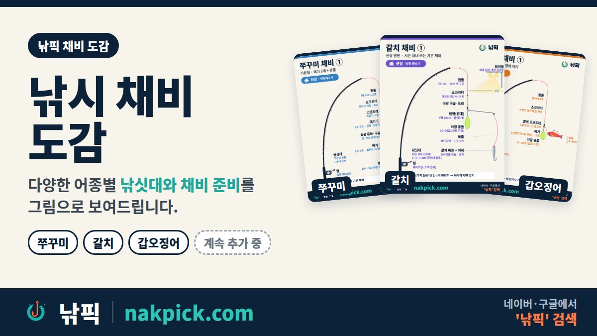 낚시 채비 도감: 쭈꾸미, 갈치, 갑오징어 채비 그림 모음