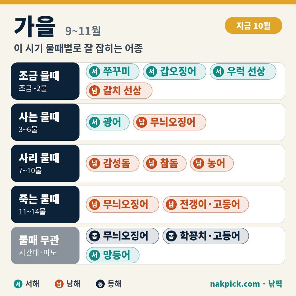 물때 보는 법 가을 9~11월, 물때별로 잘 잡히는 어종 쭈꾸미·갑오징어·감성돔