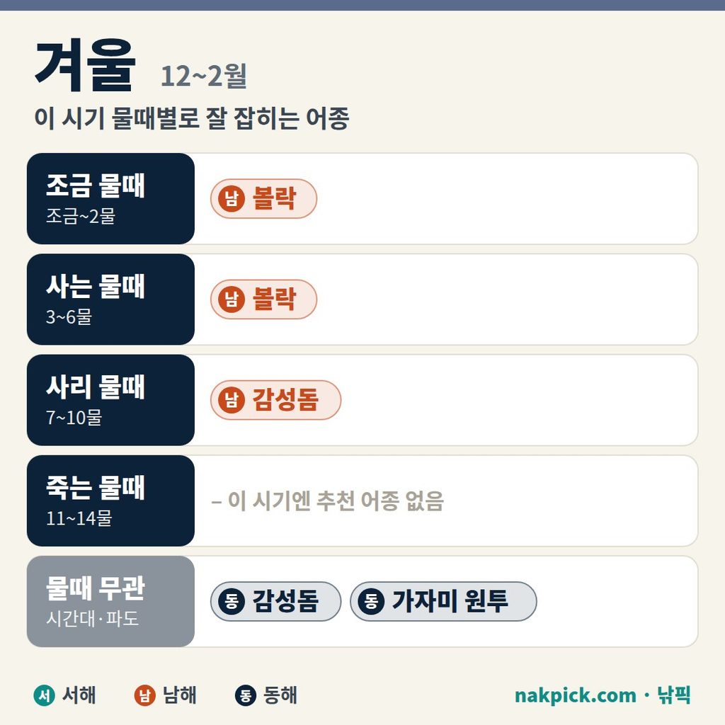 겨울 12~2월 물때별로 잘 잡히는 어종, 볼락·감성돔·가자미