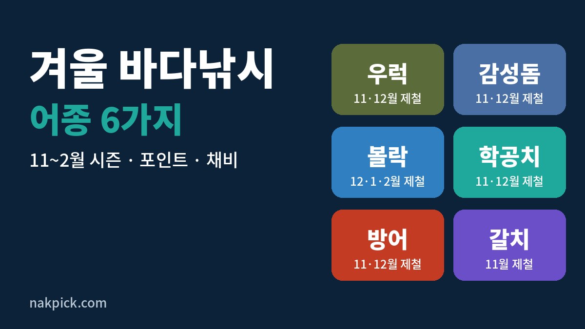 겨울 바다낚시 어종 6가지: 우럭, 감성돔, 볼락, 학공치, 방어, 갈치의 제철 달